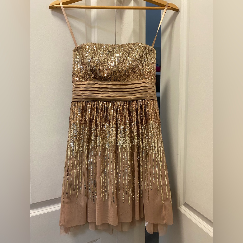 28. Silk Bcbgmaxazria Strapless Gold Sequin Dress